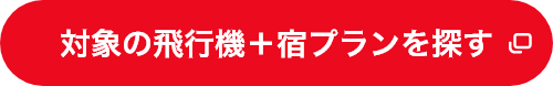 対象の飛行機＋宿プランを探す