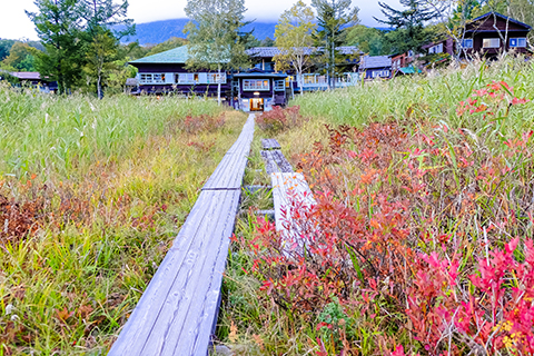 尾瀬小屋の写真