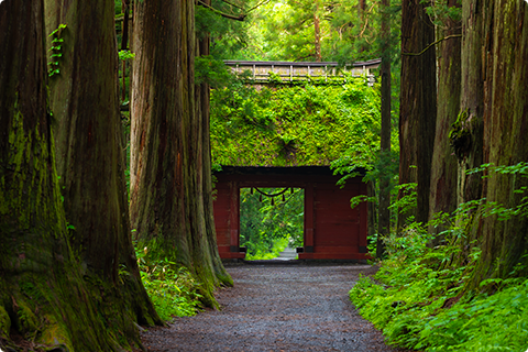 戸隠神社の写真