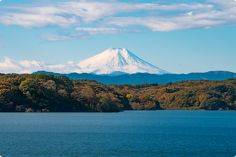 狭山湖の写真
