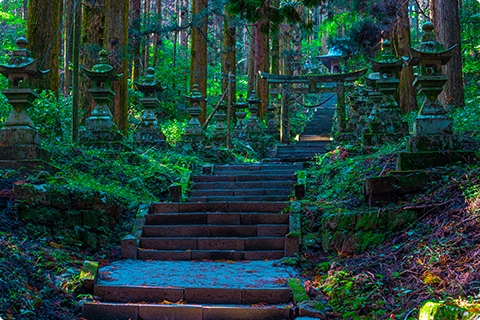 阿蘇神社の写真